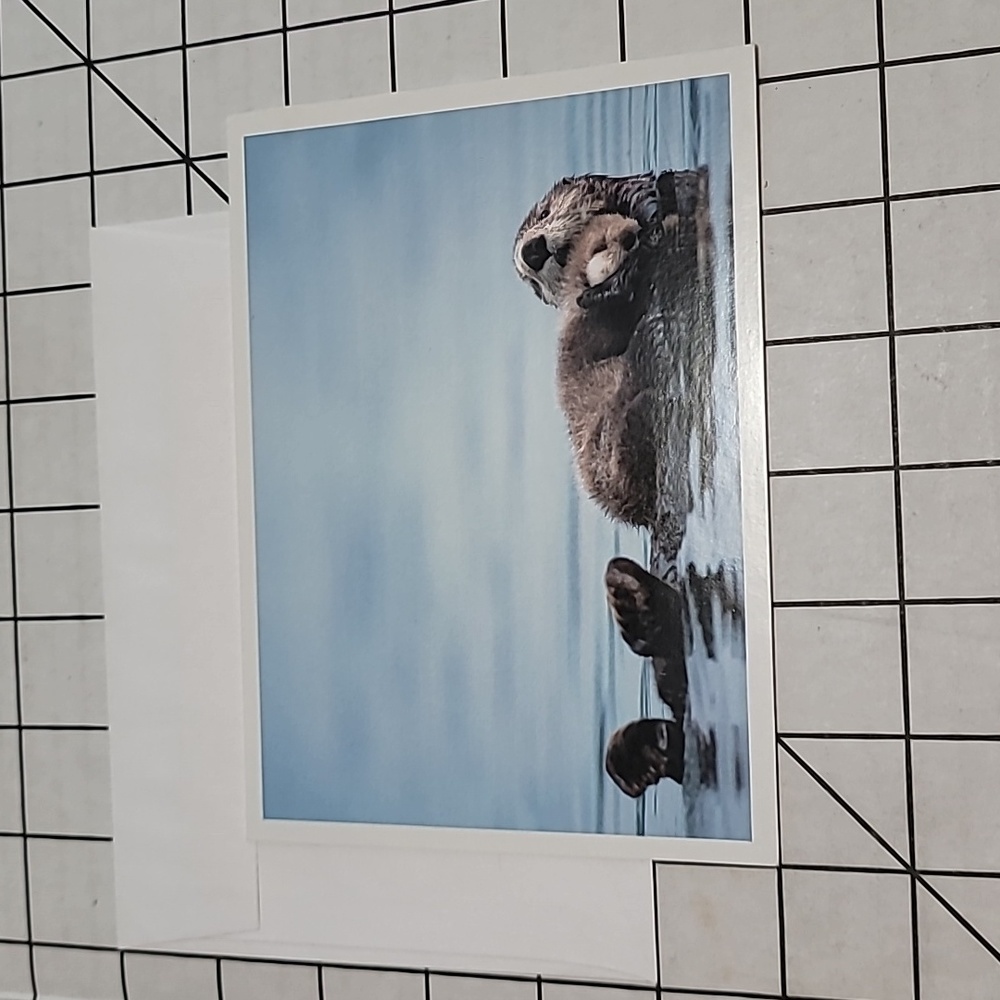 Sea Otters‎ Note Card w Envelope NIP